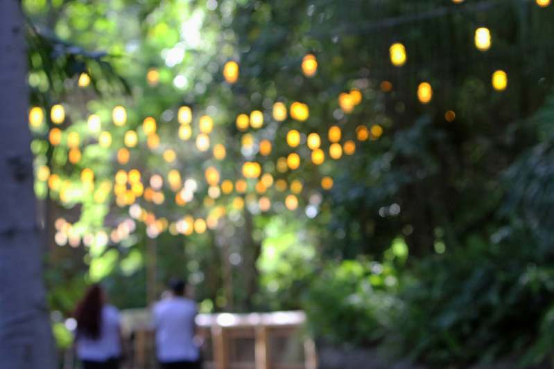 Vibrant string lights, LED uplighting, and disco ball reflecting colorful beams in a modern backyard party setup